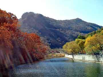 澳门二四六天天彩图库，朗动论坛